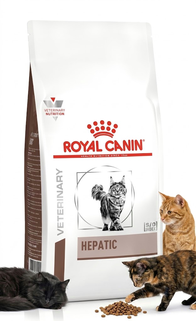 غذای خشک گربه رویال کنین مدل Hepatic (هپاتیک) وزن ۲ کیلوگرم | Royal Canin Veterinary