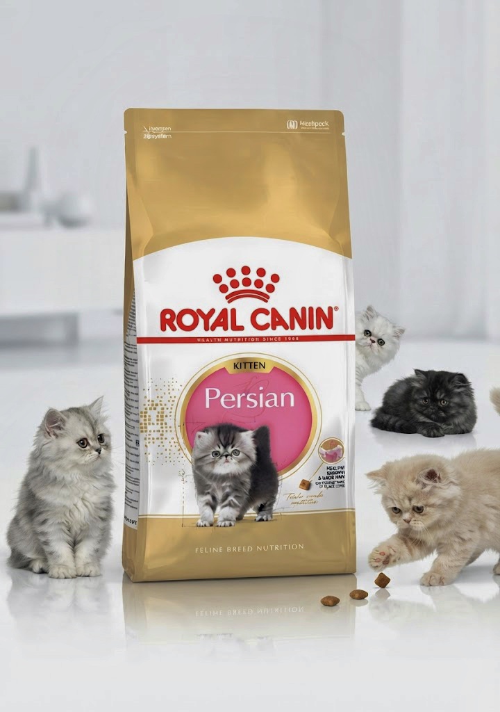 غذای خشک بچه گربه رویال کنین مدل Persian Kitten (پرشین کیتن) وزن ۲ کیلوگرم | Royal Canin