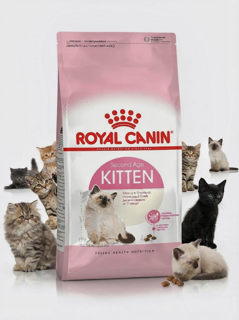 غذای خشک بچه گربه رویال کنین مدل Kitten (کیتن) وزن ۲ کیلوگرم | Royal Canin