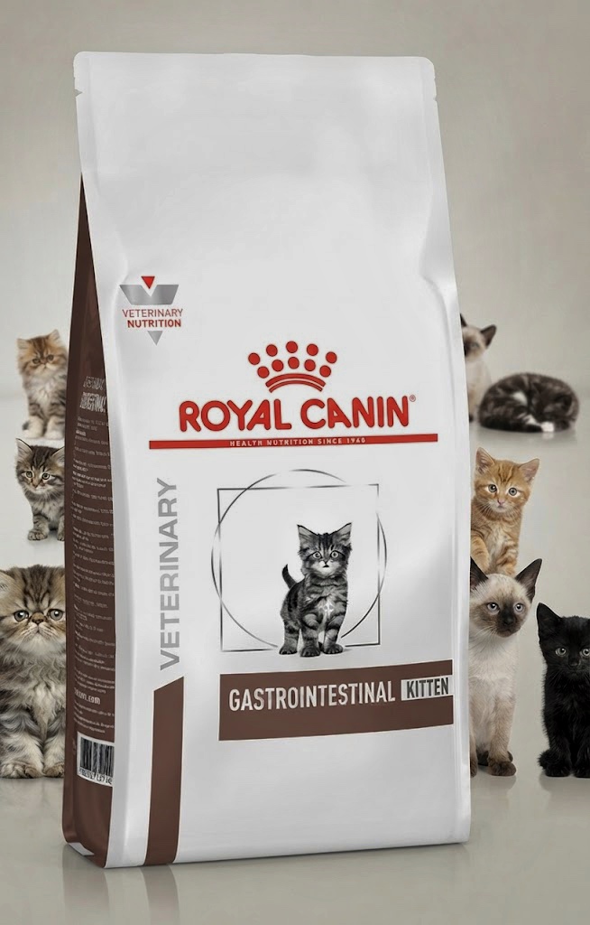 غذای خشک بچه گربه رویال کنین مدل Gastrointestinal Kitten (گاسترو اینتستینال کیتن) وزن ۲ کیلوگرم | Royal Canin Veterinary