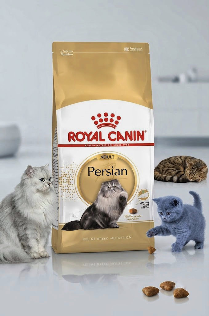 غذای خشک گربه رویال کنین مدل Persian Adult (پرشین ادالت) وزن ۱۰ کیلوگرم | بسته‌بندی اقتصادی | Royal Canin