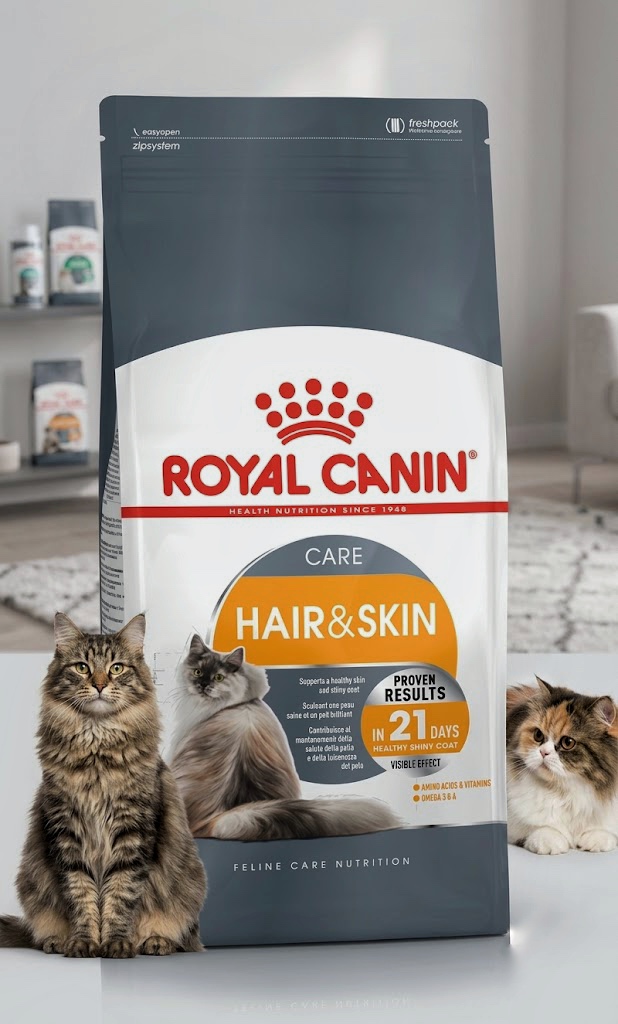غذای خشک گربه رویال کنین مدل Hair & Skin Care (هیر اند اسکین کر) وزن ۱۰ کیلوگرم | بسته‌بندی اقتصادی | Royal Canin