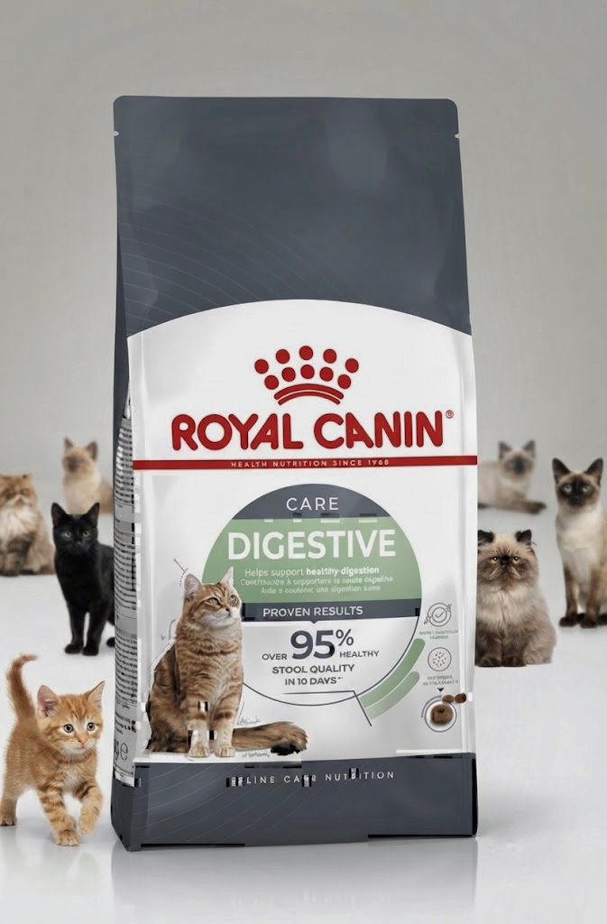 غذای خشک گربه رویال کنین مدل Digestive Care (دایجستیو کر) وزن ۱۰ کیلوگرم | بسته‌بندی اقتصادی | Royal Canin
