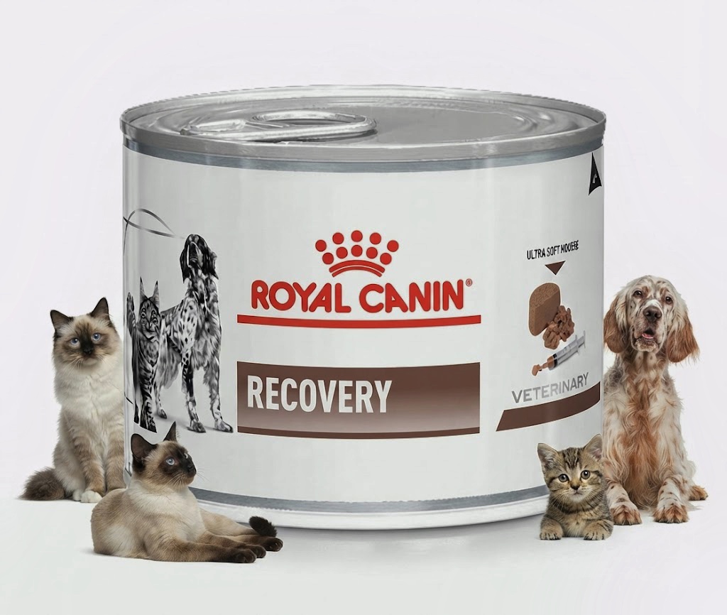 کنسرو ریکاوری رویال کنین ۱۹۵ گرمی مخصوص سگ و گربه | Royal Canin Recovery