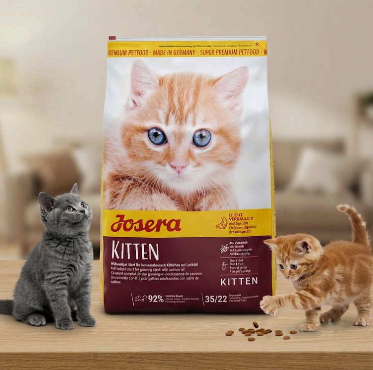 غذای خشک بچه گربه جوسرا Kitten سوپر پریمیوم وزن ۲ کیلوگرم | Josera Kitten Dry Cat Food 2kg ساخت آلمان